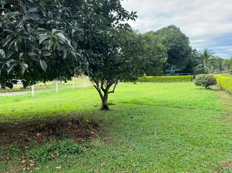 LOT FOR SALE, ALAJUELA, OROTINA CENTER - 9984707