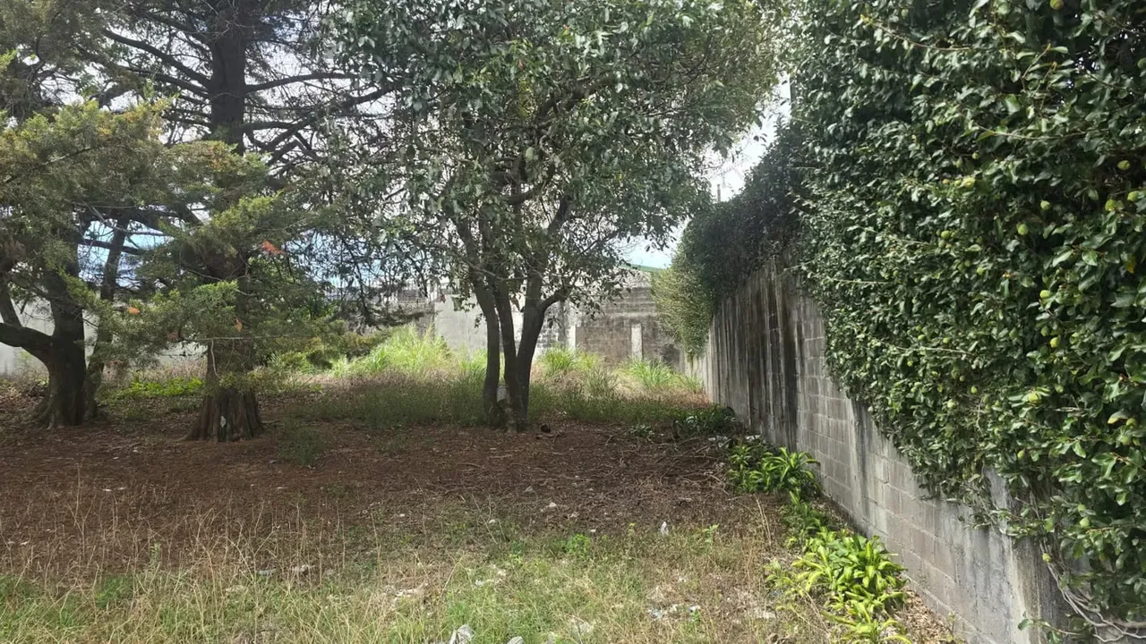 Barrio Dent, en San Pedro de Montes de Oca, alberga este terreno de 725 metros cuadrados, posicionado en un sector de alta plusvalía y desarrollo constante en el este de San José. Su ... — photo 2