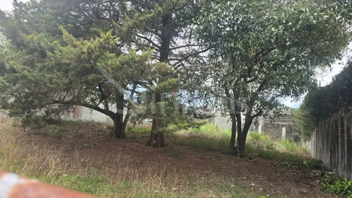 En San Pedro de Montes de Oca, alberga este terreno de 725 metros cuadrados, posicionado en un sector de alta plusvalía y desarrollo constante en el este de San José. Su ubicación ... — photo 5