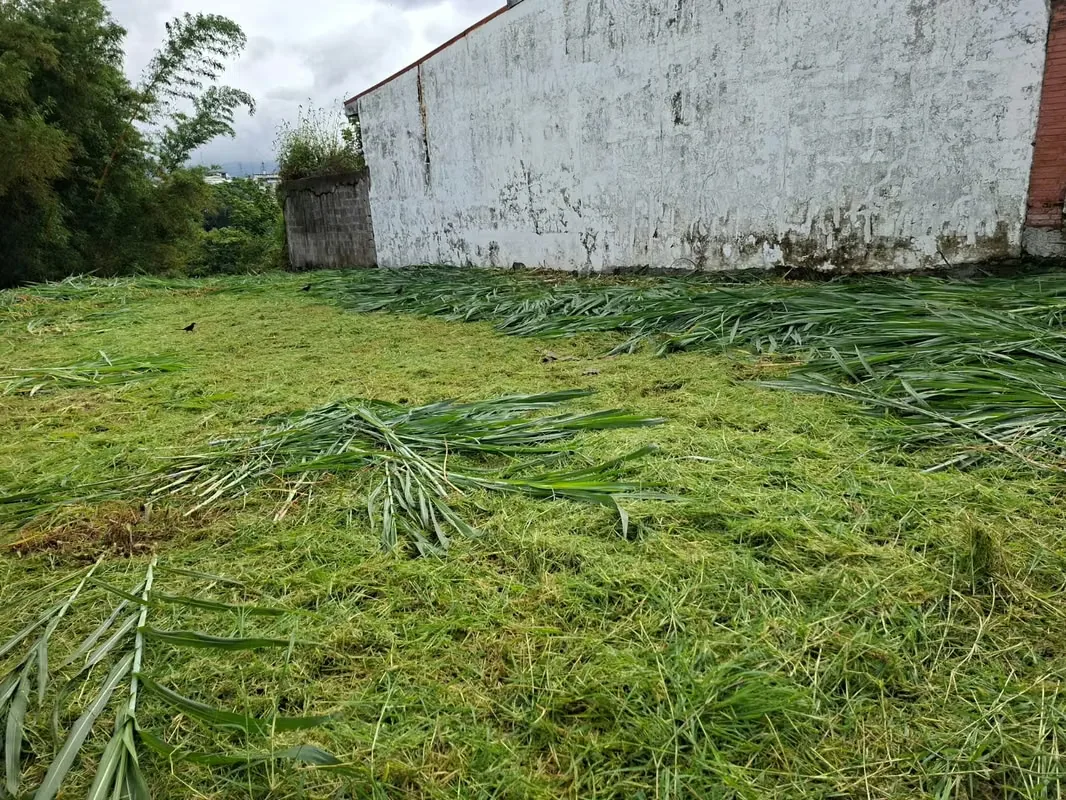 Lot for sale in Mexico - Independent — photo 4