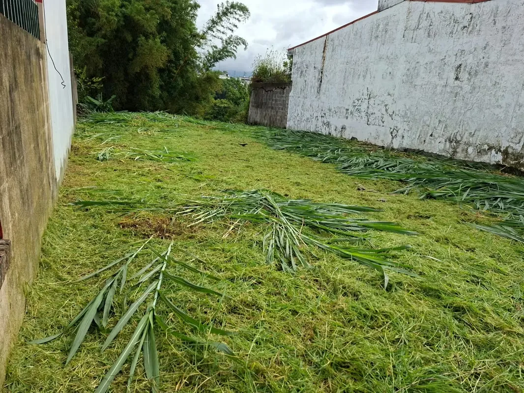 Lot for sale in Mexico - Independent — photo 5