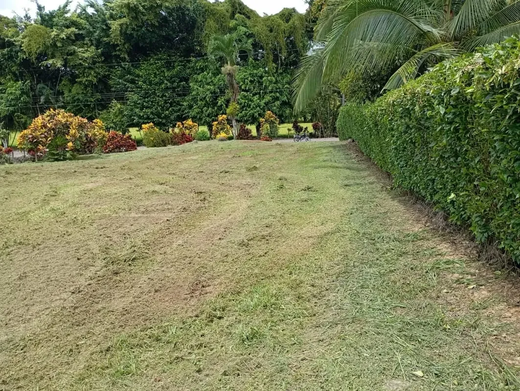 Lot for Sale in Sarapiqui Horquettes