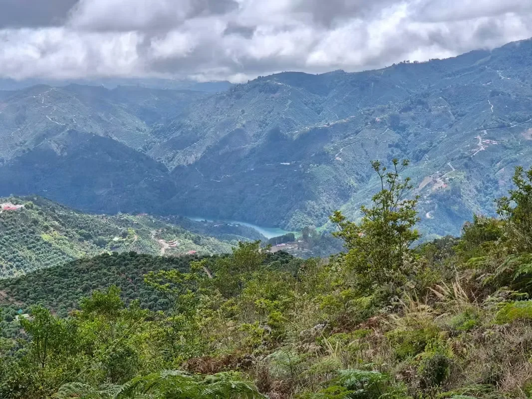 Two adjoining lots are for sale in Llano Bonito de León Cortés, located in the Los Santos ...