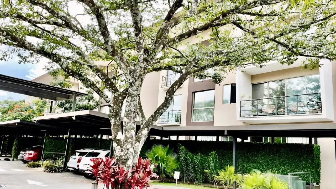 Lindo apartamento en condominio, con buena ubicación Sabana Noreste, facil acceso, con amplias zona verdes, área de juegos infantiles, piscina y jacuzzi, dos zonas BBQ, 3 áreas ...