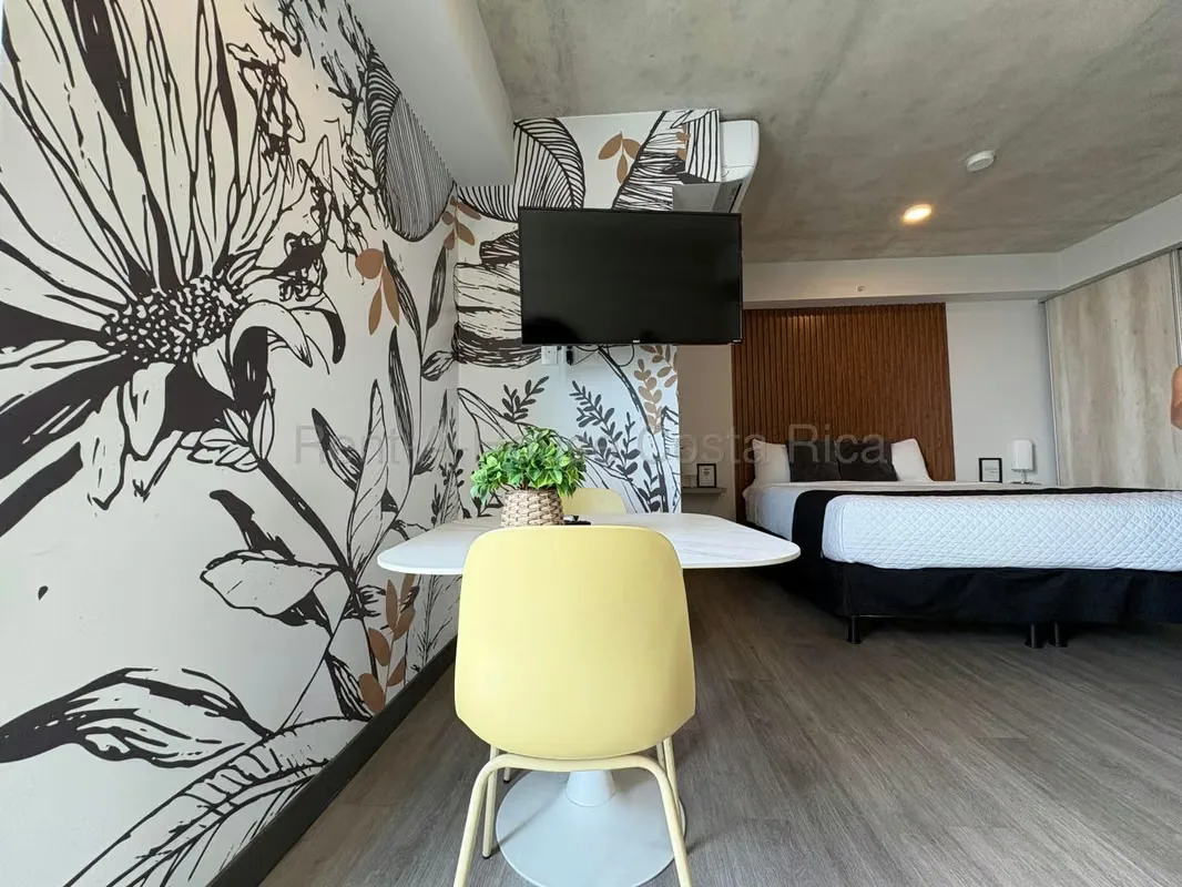 Single-room apartment with open bedroom area, wall closet, living room, furnished kitchen and storage closet. It also has a balcony from which you can see beautiful views of San José. ... — photo 4