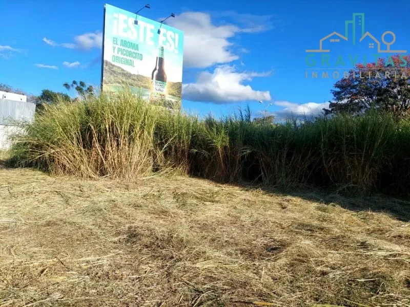 Land for sale in Uruca (4650 m2) ID 1679 — photo 3