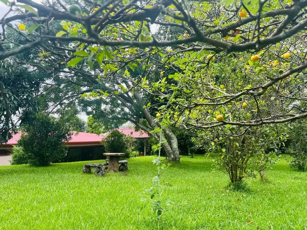 Casa con zona verde de 2.500 m² y árboles frutales. Un hogar rodeado de naturaleza, con vistas panorámicas al Valle Central y una atmósfera de tranquilidad total. La casa de 344 m² ... — photo 4