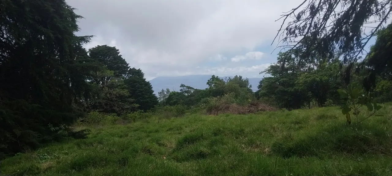 Farm for sale, Concepcion de San Isidro de Heredia, with views 22,480 sq mtrs.