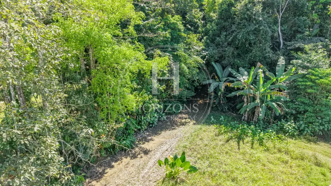 Land for Sale Quebrada Gain 8,619 m ² - 124; noj1275or — photo 5