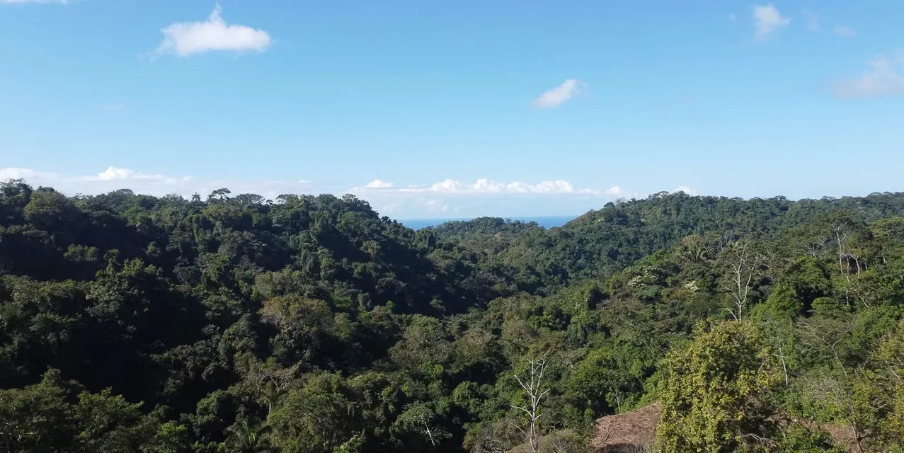 Terreno con Vista al Mar para Desarrollo en Santiago Cerca de Santa Teresa