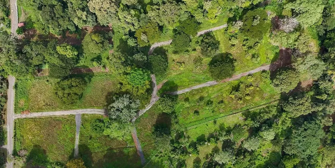 Lotes Carbone One al lado del Río en Hone Creek