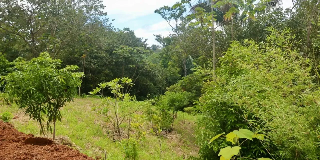 Lotes Residenciales en Eco-Comunidad en San Isidro