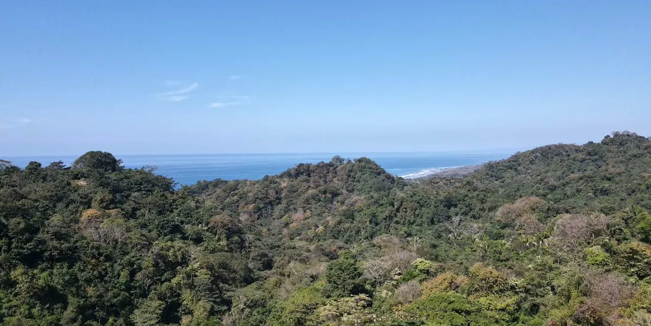 Ocean View Land In Mal Pais. Location: Cóbano, Puntarenas. Lot size: 1000 m². Exterior: Green / Forest views, Ocean views. MLS LXSL14213 The Agency Costa Rica.