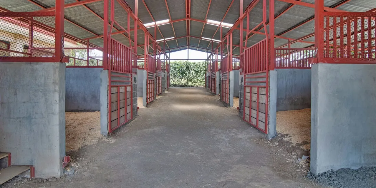 Dúo Equestrian Farm in La Garita. Location: La Garita, Alajuela. 2 bedrooms | 2 bathrooms | 9654 m² lot. Features: Cross-ventilation, Natural light, A/C Splits. Exterior: Green / ..., photo 4