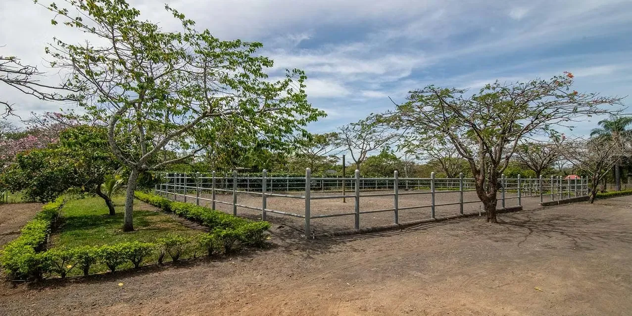 Dúo Equestrian Farm in La Garita. Location: La Garita, Alajuela. 2 bedrooms | 2 bathrooms | 9654 m² lot. Features: Cross-ventilation, Natural light, A/C Splits. Exterior: Green / ..., photo 5