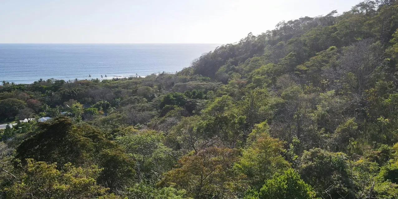 Lote con Vista Panorámica al Mar en Playa Hermosa