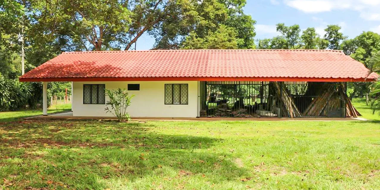 Tropical Fruit Farm in San Pablo de Turrubares. Location: Turrubares, San Jose. Lot size: 259500 m². MLS LXEF13975 The Agency Costa Rica. — photo 5