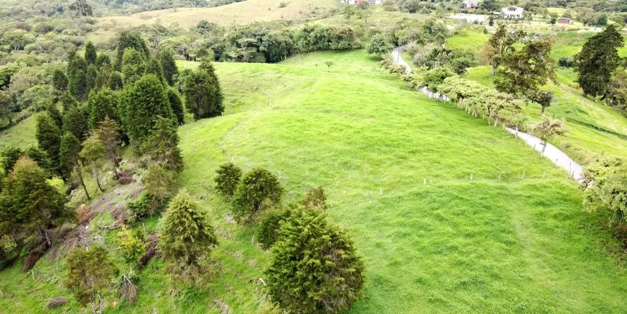 San Jero Dairy Farm in Moravia. Location: Moravia, San Jose. Lot size: 200000 m². MLS LXEF13976 The Agency Costa Rica. — photo 2