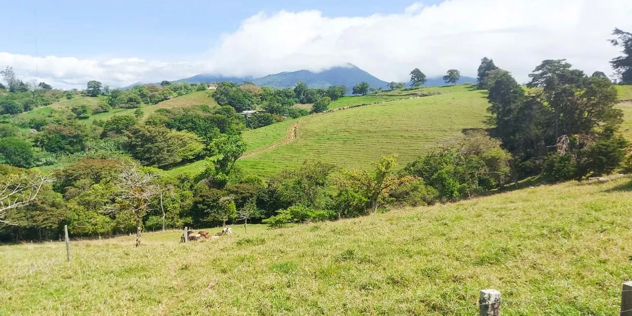 San Jero Dairy Farm in Moravia. Location: Moravia, San Jose. Lot size: 200000 m². MLS LXEF13976 The Agency Costa Rica. — photo 3