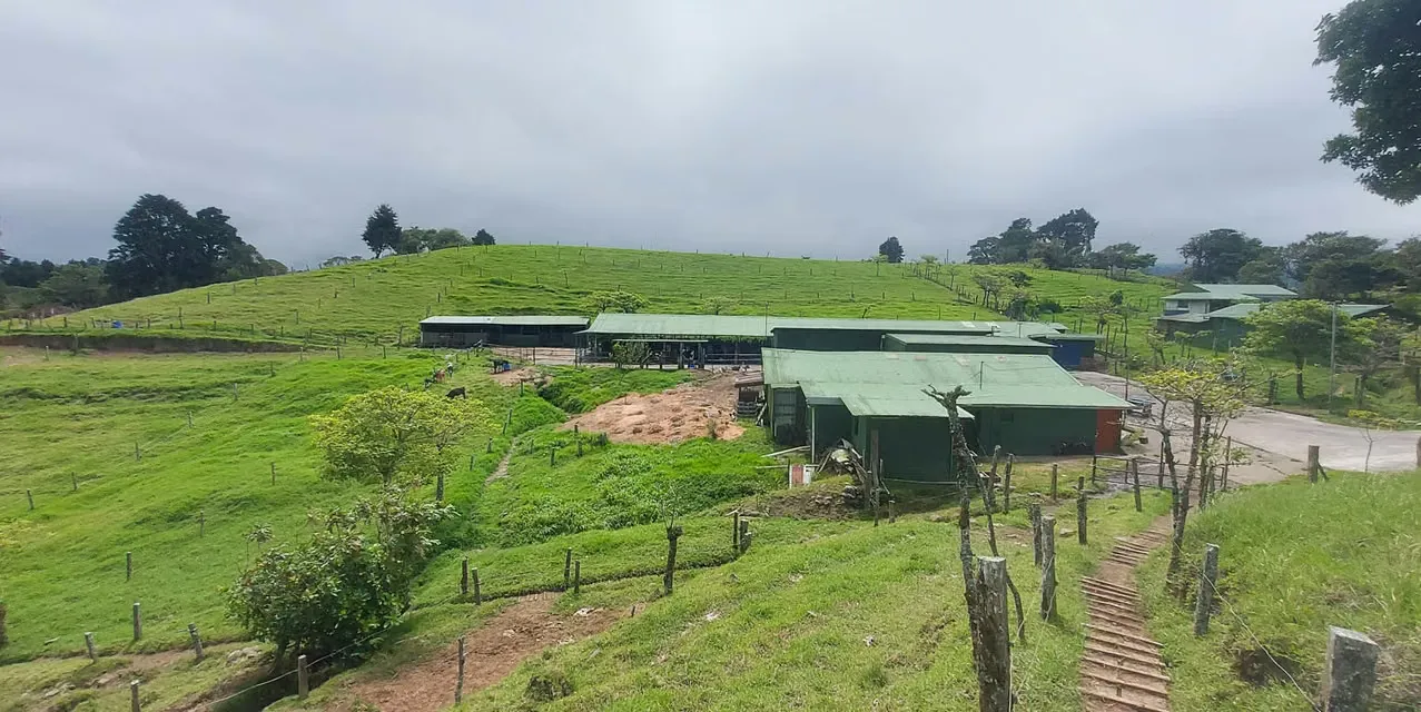 San Jero Dairy Farm in Moravia. Location: Moravia, San Jose. Lot size: 200000 m². MLS LXEF13976 The Agency Costa Rica. — photo 4