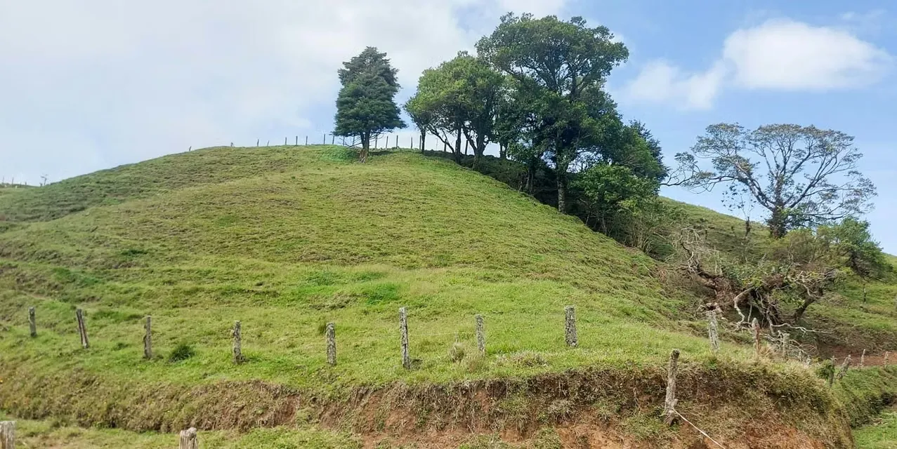 San Jero Dairy Farm in Moravia. Location: Moravia, San Jose. Lot size: 200000 m². MLS LXEF13976 The Agency Costa Rica. — photo 5