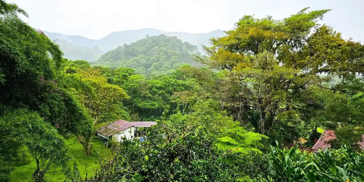 Finca Verde en Orosi, Cartago