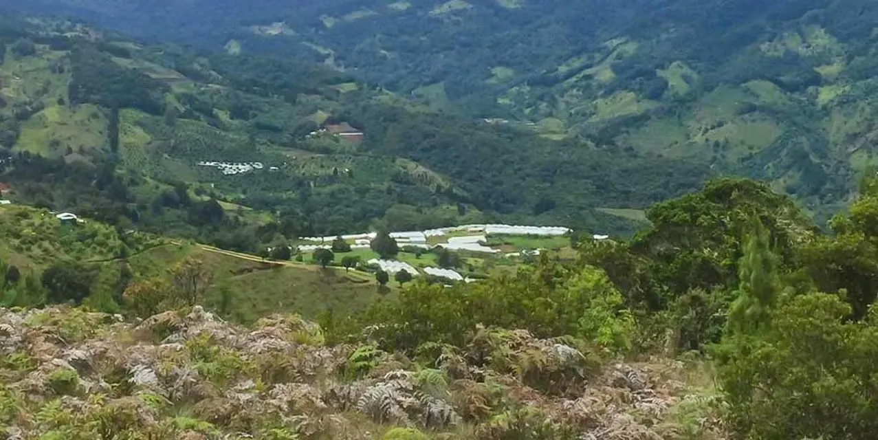 Finca Cumbres de Copey, Dota