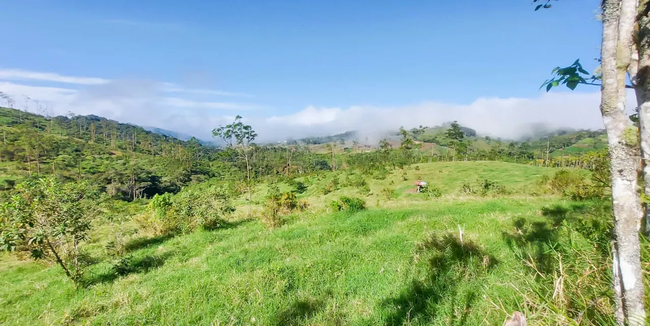 Finca Agroindustrial en Naranjo