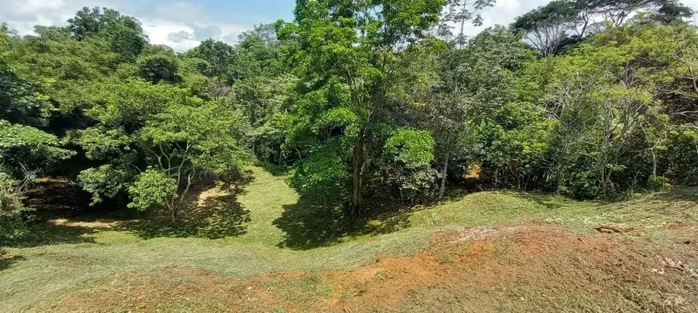 VENDO LOTE EN SANTIAGO DE PURISCAL.