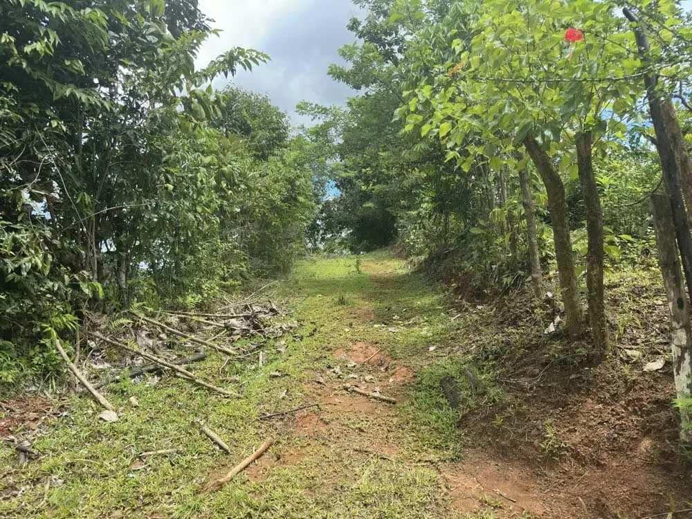 A unique opportunity in Acosta! This stunning 243,000 m² lot offers a privileged space surrounded by nature and breathtaking views—you can even see the ocean! Imagine waking up each ... — photo 2