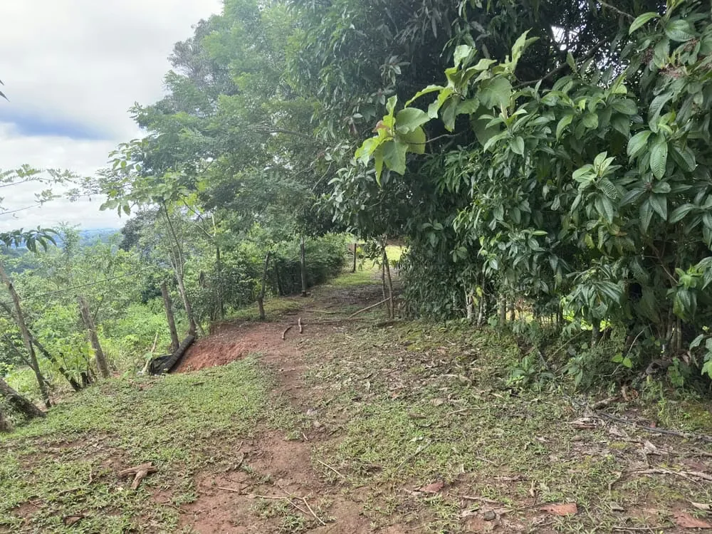 A unique opportunity in Acosta! This stunning 243,000 m² lot offers a privileged space surrounded by nature and breathtaking views—you can even see the ocean! Imagine waking up each ... — photo 3