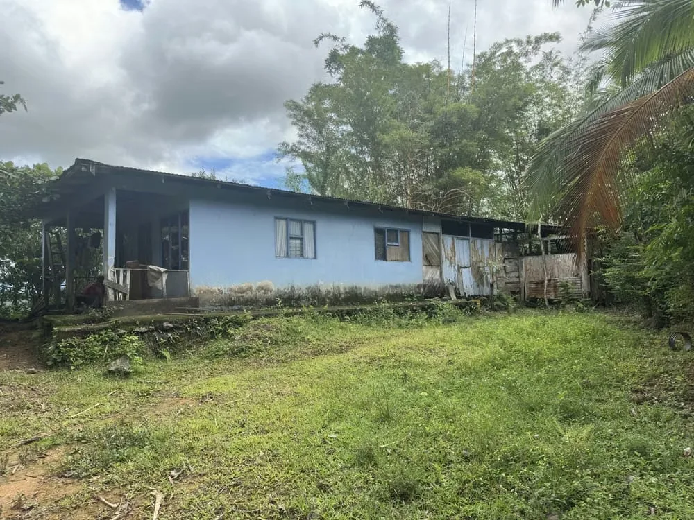 A unique opportunity in Acosta! This stunning 243,000 m² lot offers a privileged space surrounded by nature and breathtaking views—you can even see the ocean! Imagine waking up each ... — photo 4