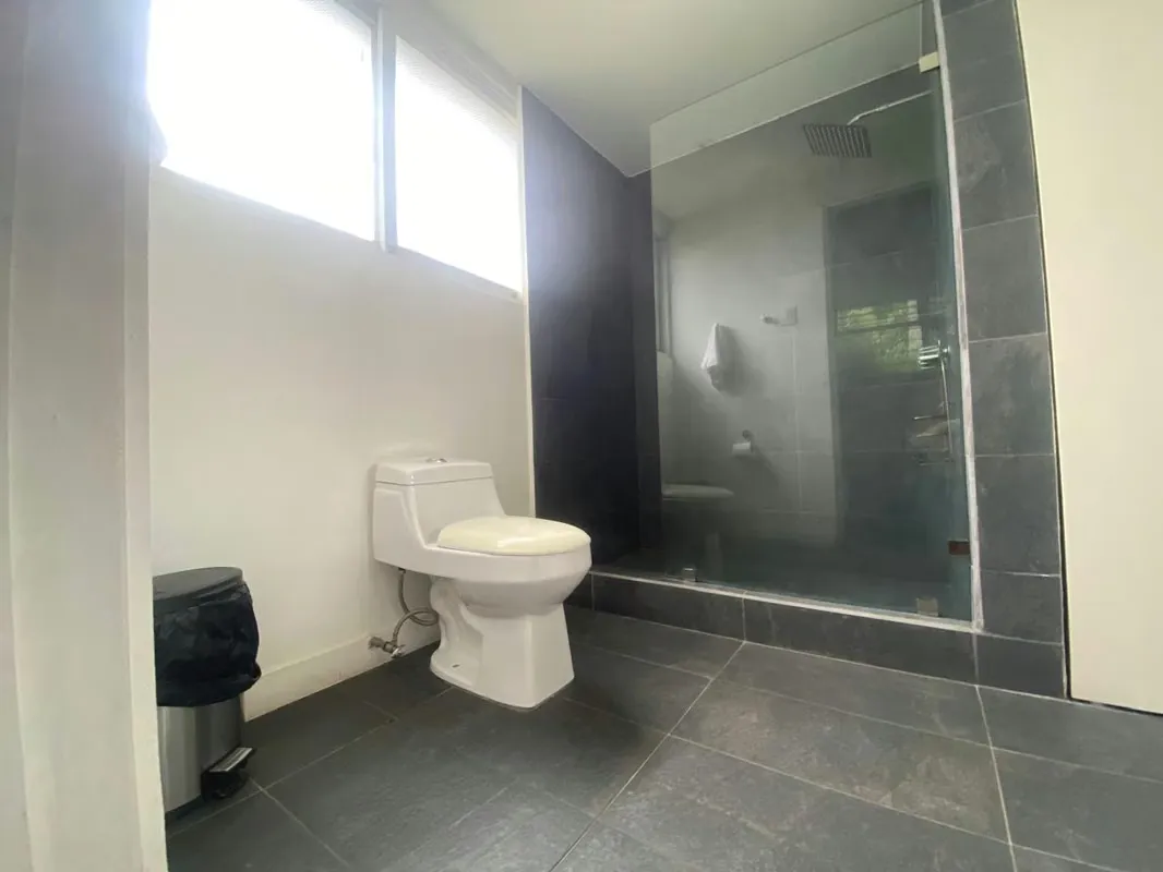 House for rent in Los Yoses - San Jose San Pedro- Exclusive House — photo 2