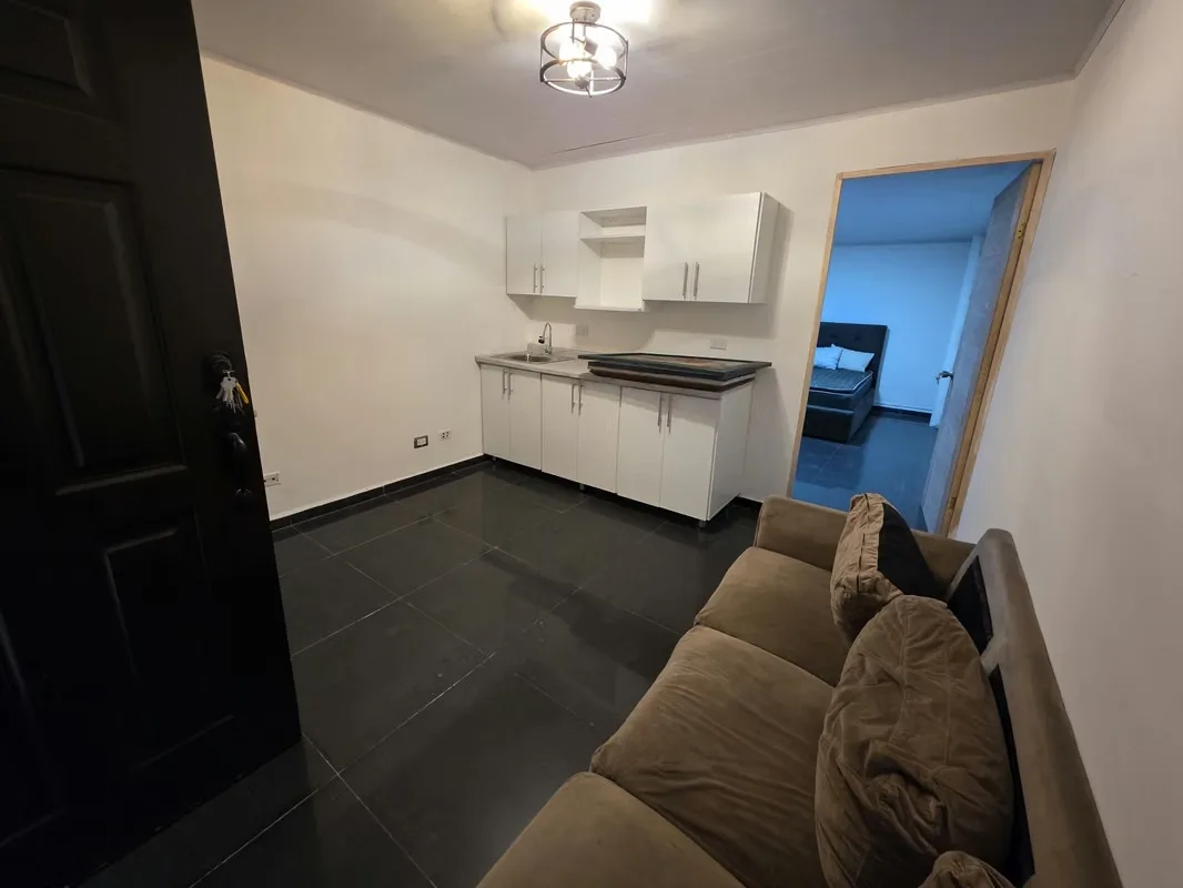 Furnished apartment for rent in Sabana Sur, photo 4