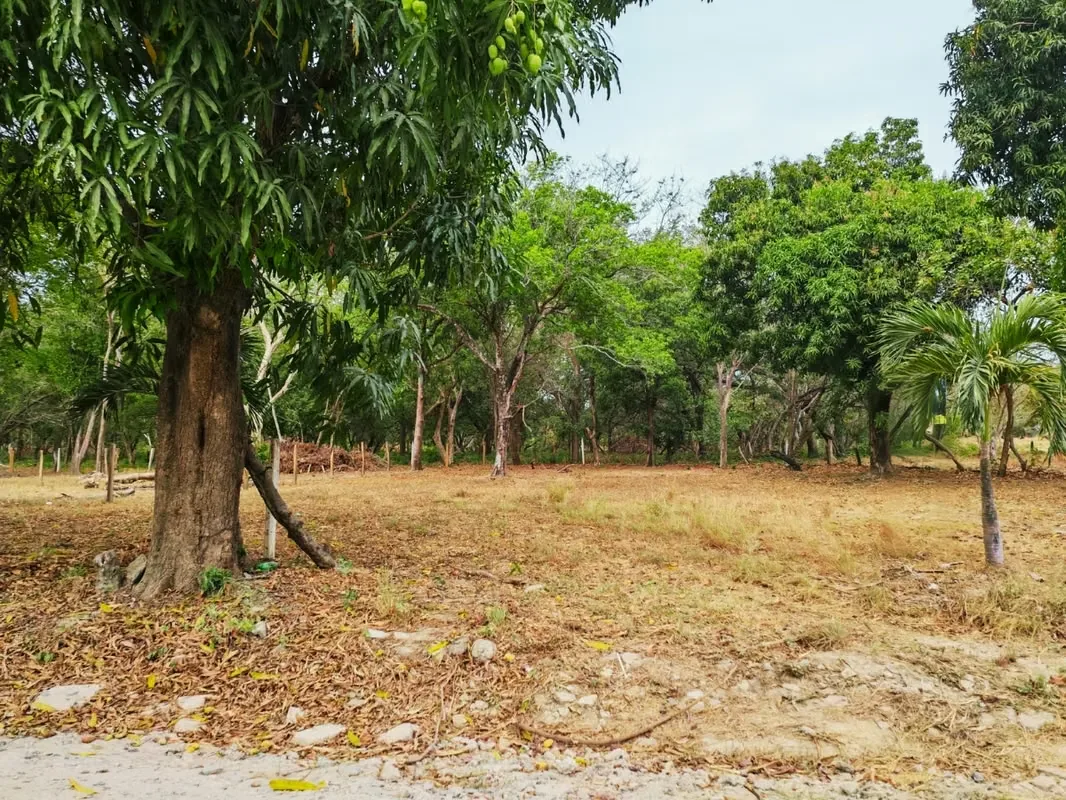 Lote en venta en Barrio Cambalache, Liberia – 351 m²