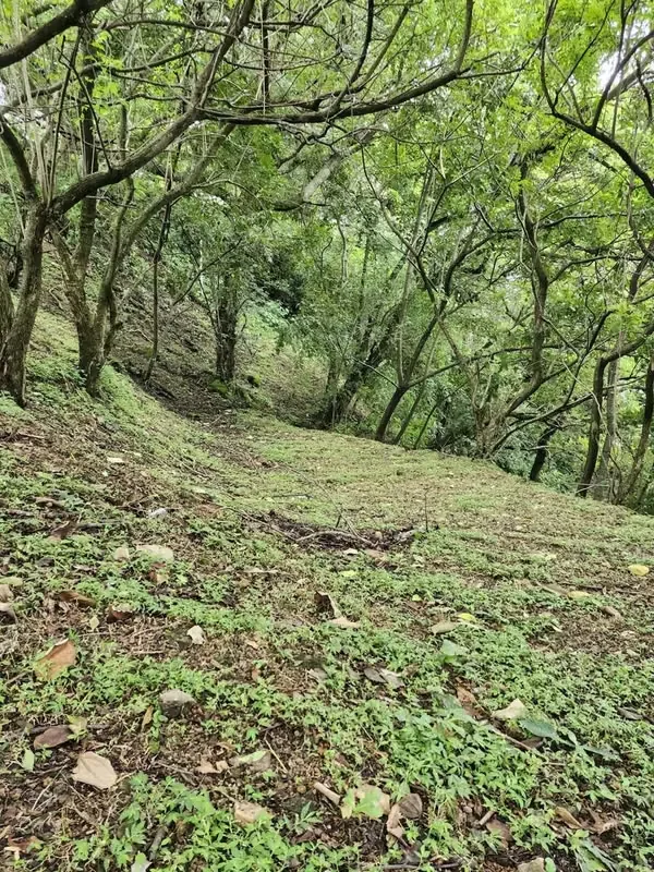Descubra un majestuoso lote de terreno de 2008.20 m2 en el exclusivo y selecto residencial de Villa Real, ubicado en la privilegiada zona de Santana, San José. Este terreno, anclado ... — photo 4