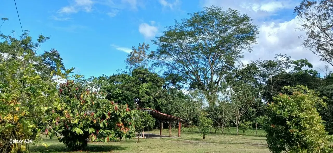 ¿Buscás paz, naturaleza y una ubicación estratégica? Esta propiedad en San Isidro de Peñas ...