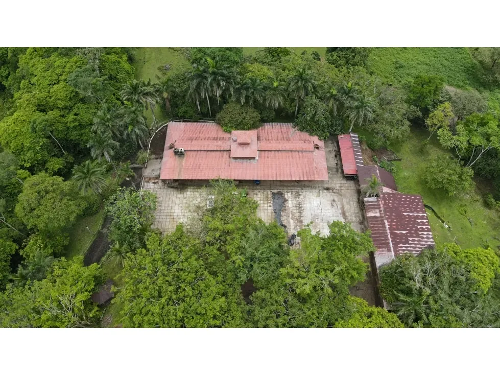 Macro Finca de 195 Hectáreas en Sarapiquí: Agua Abundante, Infraestructura y Alto Potencial Producitivo/Ecoturístico