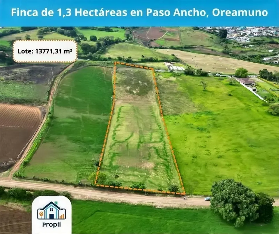 Farm for sale in Paso Ancho de Oreamuno, Cartago