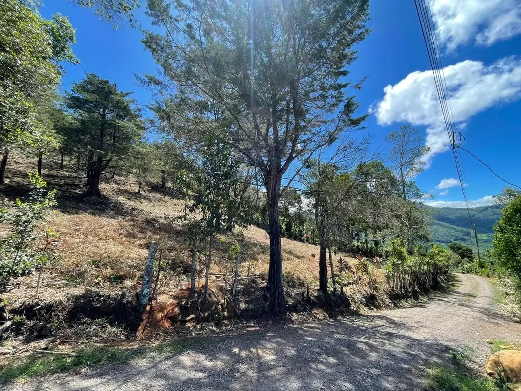 Venta de lote en San Marcos de Tarrazú