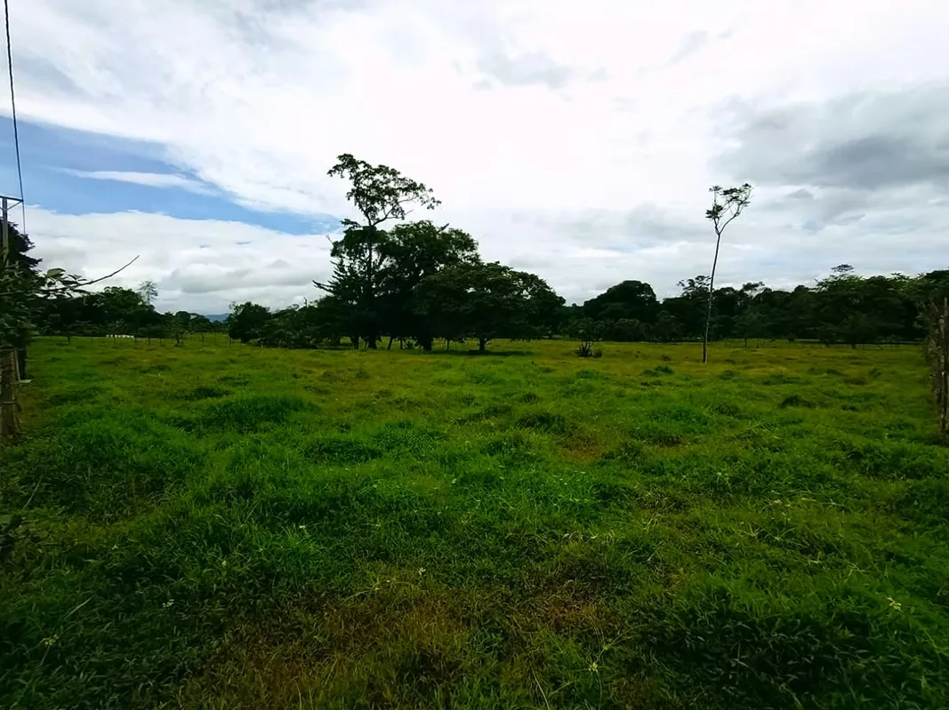Country house for sale in Horquetas de Sarapiqui. — photo 5