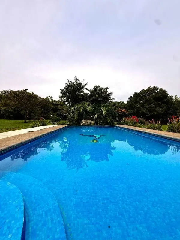 The house is on one floor, windows, has a roofed terrace, living room and integrated kitchen, 2 full bathrooms, large master room and 2 ...