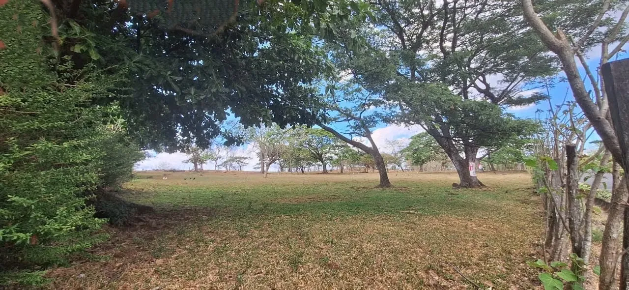 Venta de Lote en La Guácima
