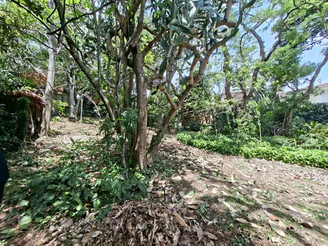 Extensive property of 4988 square meters located in San Rafael de Escazú, a high-value sector in the province of San José. — photo 5