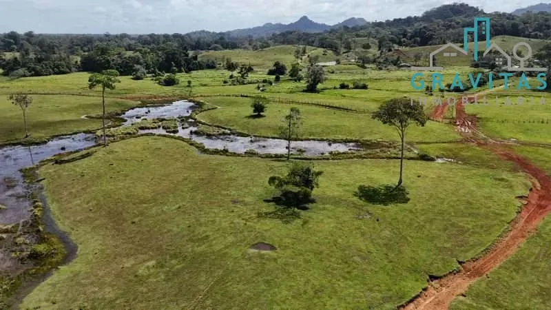 Farm for sale in Pital, San Carlos, 923 hectares, ID 1878
