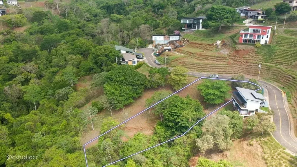 Lote grande Hacienda Natura Naranjo