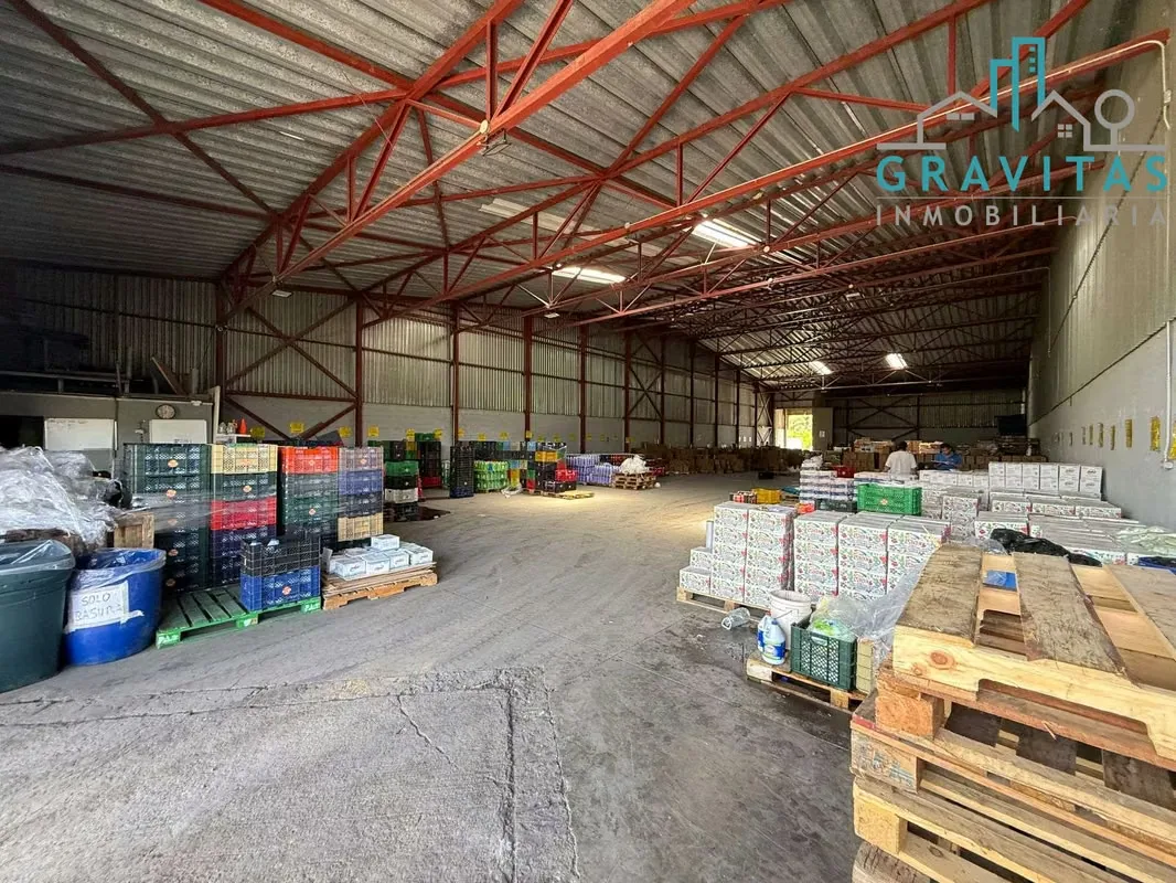 Warehouse for rent in Cartago (670 m2) ID 1843 — photo 4