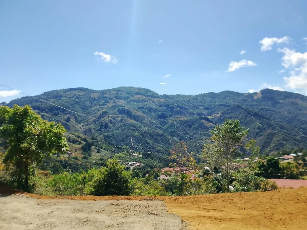 It is sold lot in the Zona de los Santos, San Antonio de León Cortes.