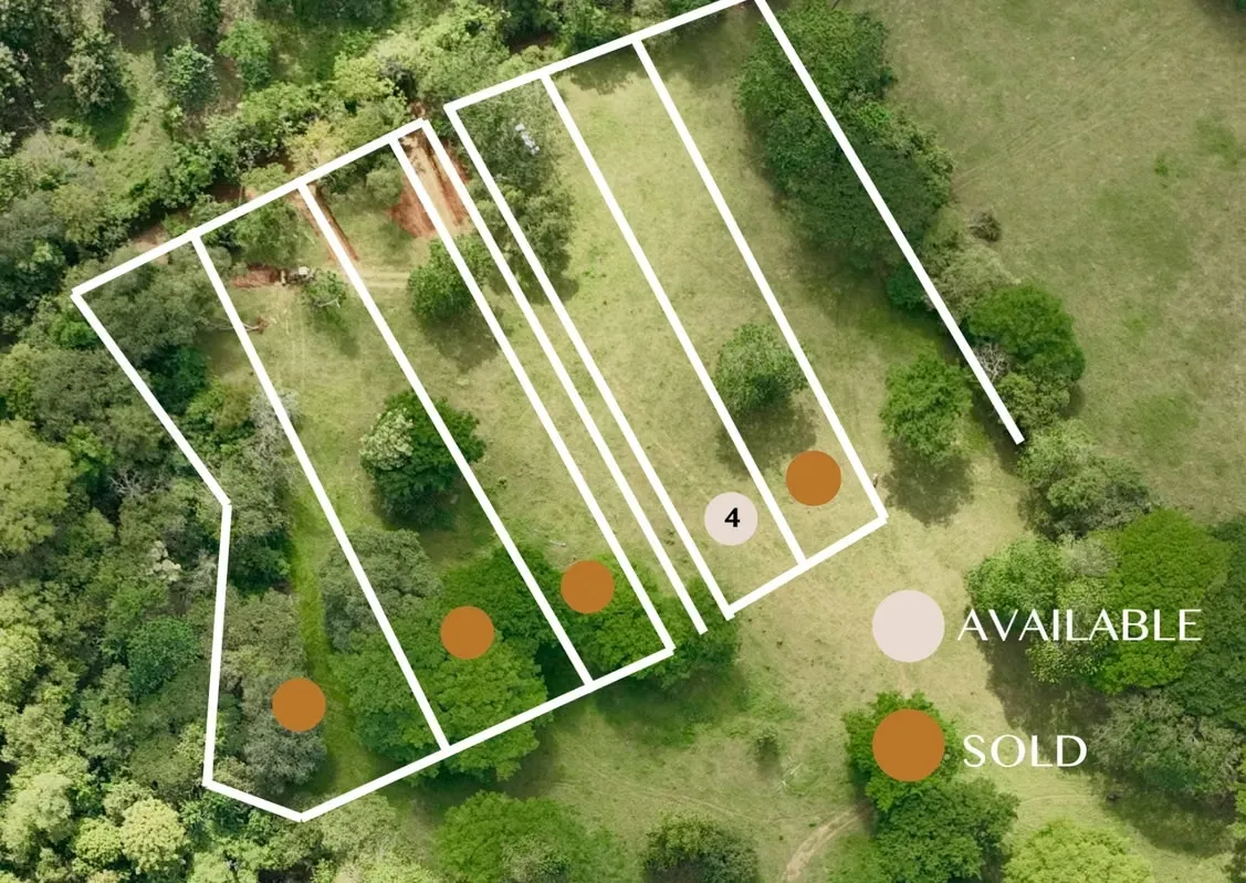 Oportunidad Única: Lotes en Entorno Natural de Artola, Guanacaste