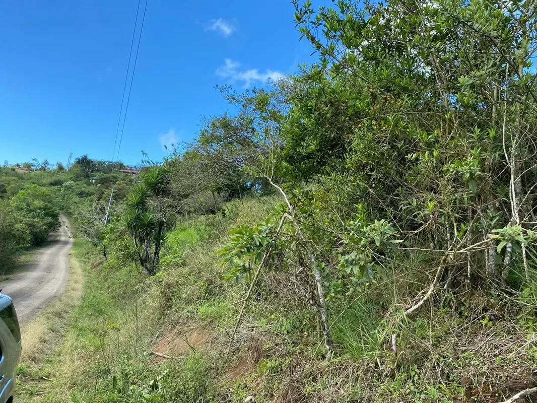 Con frente a calle pública esta hermosa finca tiene potreros, llanuras y bellas vistas a las montañas de Ángeles de San ... — photo 2